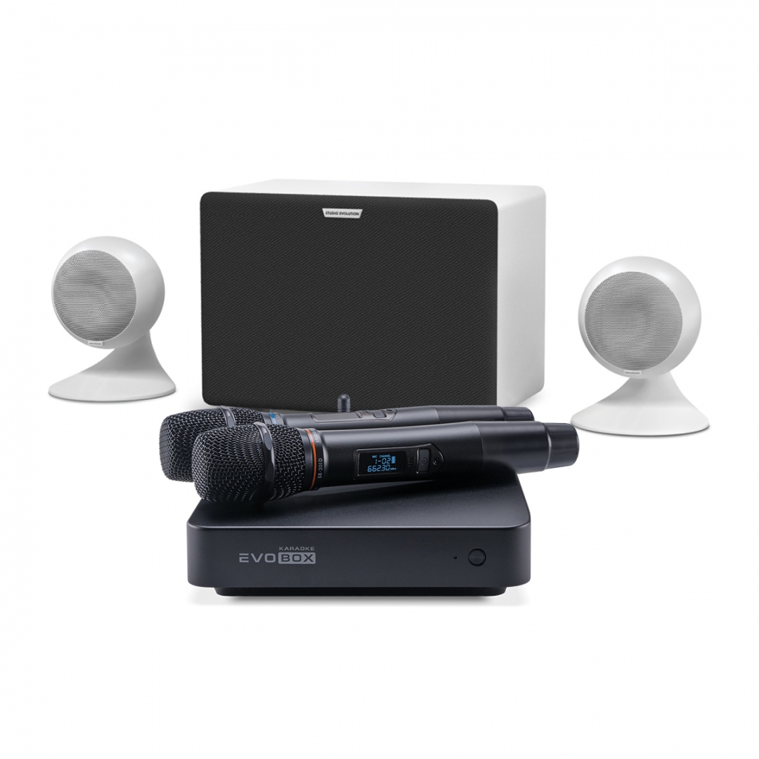 караоке-комплект EVOBOX Classic + EvoSound Sphere 2.1 в Бурятии