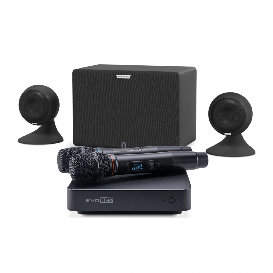 караоке-комплект EVOBOX Plus + EvoSound Sphere 2.1 в Бурятии