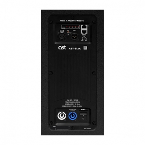 Активная акустическая система AST-312A в Бурятии