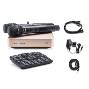 EVOBOX Classic караоке-система для дома в Бурятии